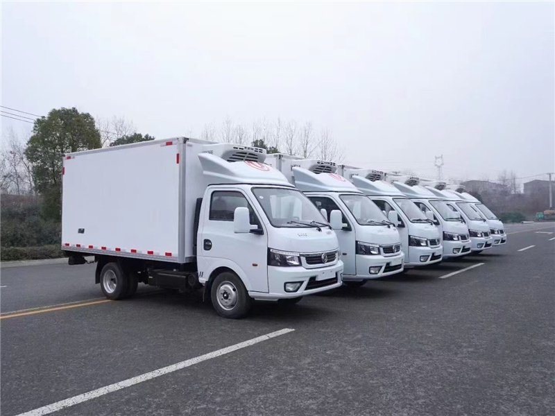 2021年輕型冷藏車最受市場“恩寵”，柴油車型最為熱銷，新能源動力仍有較大的提升空間